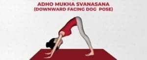 Downward facing dog pose