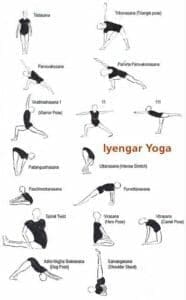 Iyengar Yoga poses