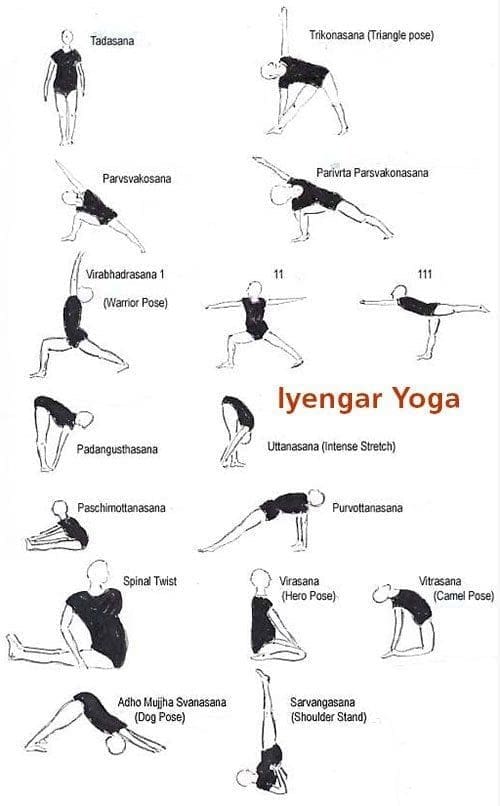 Iyengar Yoga 2 Iyengar Yoga poses