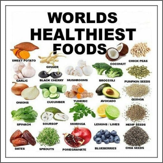 Nutritionists Role in Healthy Eating & Wellness