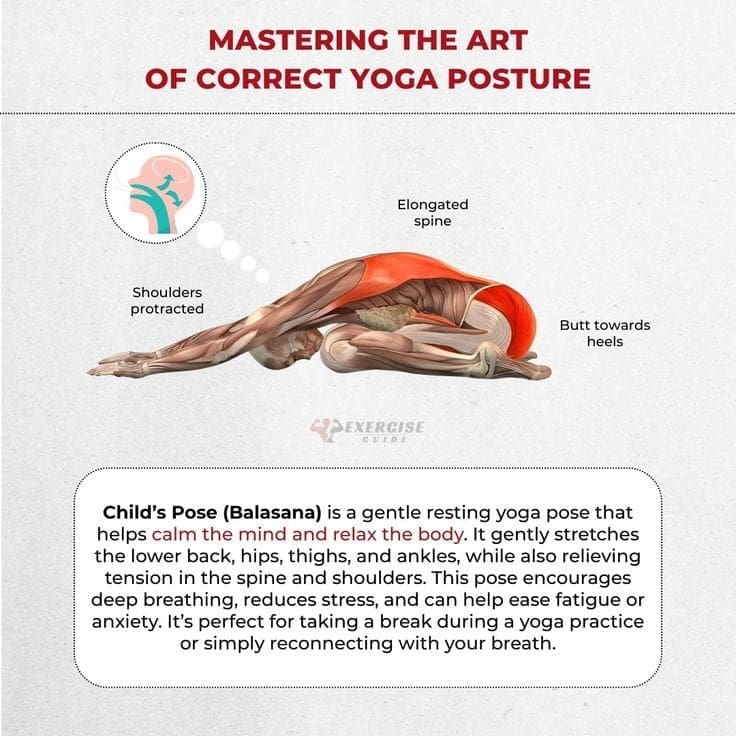 Yoga for Posture: Poses to Improve Alignment