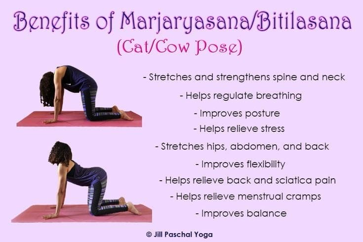 5 Morning Yoga Poses to Energize Your Day – Easy Routine for Beginners