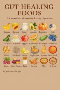 Gut Health Foods