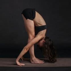 hatha yog hatha yog